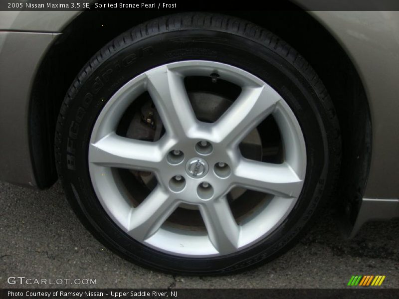 Spirited Bronze Pearl / Frost 2005 Nissan Maxima 3.5 SE