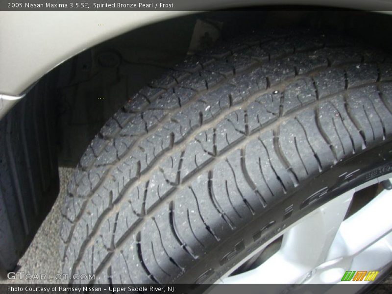 Spirited Bronze Pearl / Frost 2005 Nissan Maxima 3.5 SE