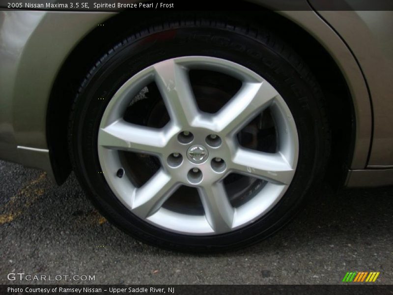 Spirited Bronze Pearl / Frost 2005 Nissan Maxima 3.5 SE