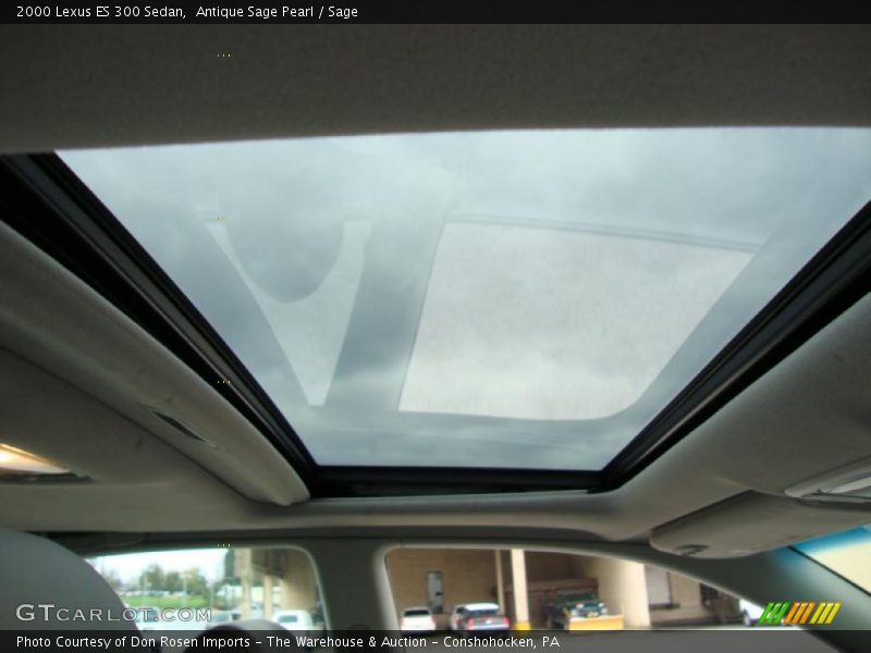 Antique Sage Pearl / Sage 2000 Lexus ES 300 Sedan
