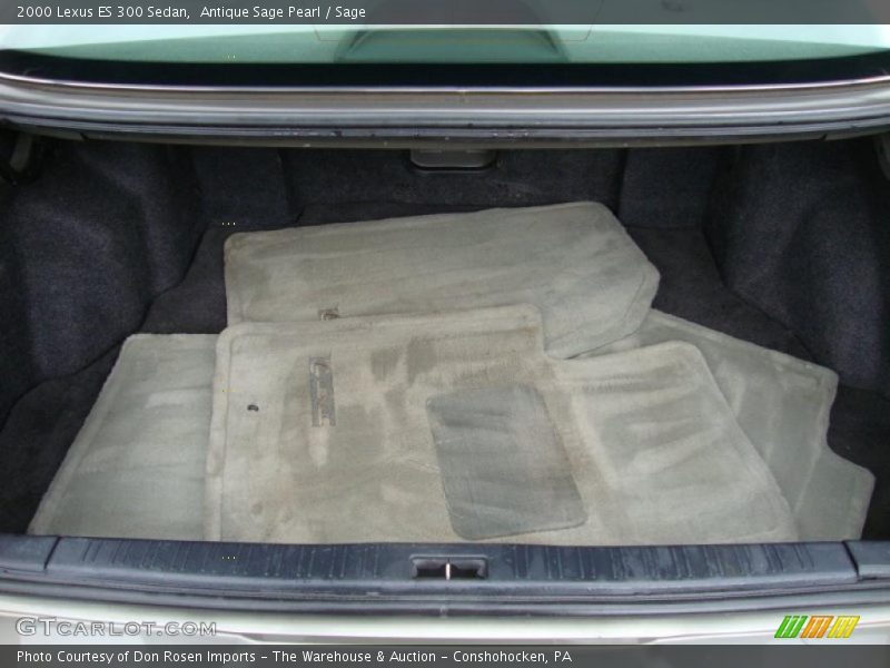 Antique Sage Pearl / Sage 2000 Lexus ES 300 Sedan
