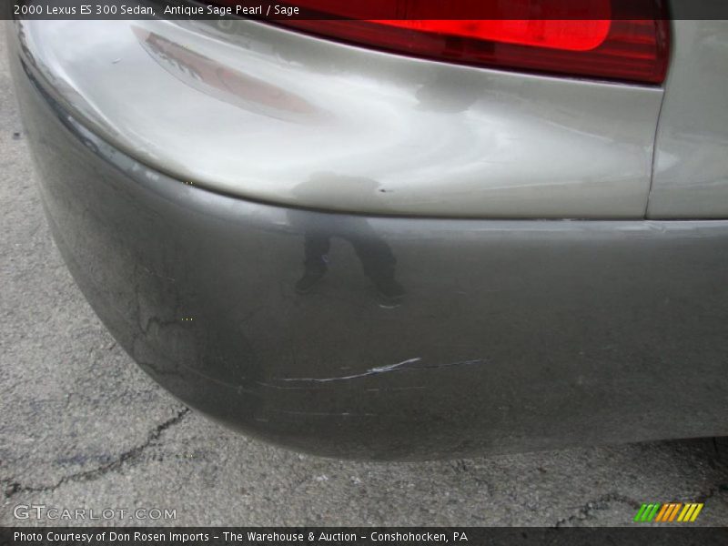 Antique Sage Pearl / Sage 2000 Lexus ES 300 Sedan