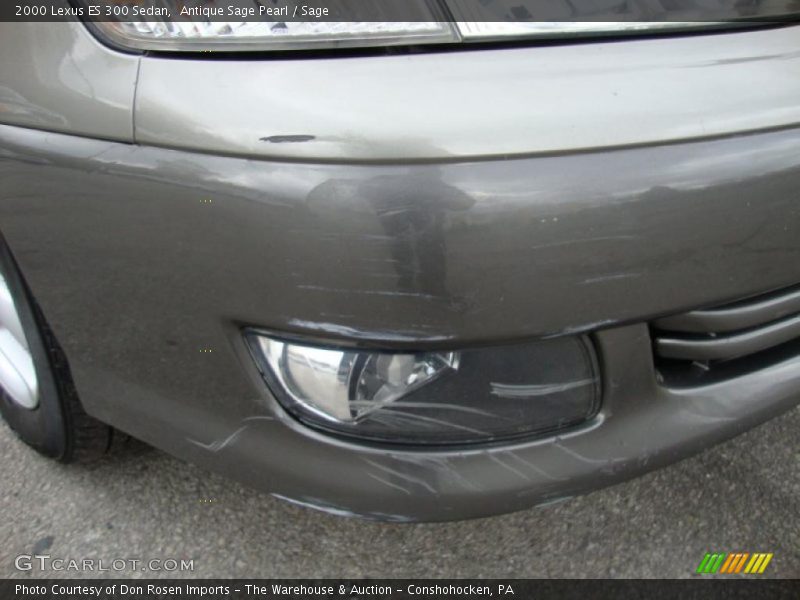 Antique Sage Pearl / Sage 2000 Lexus ES 300 Sedan