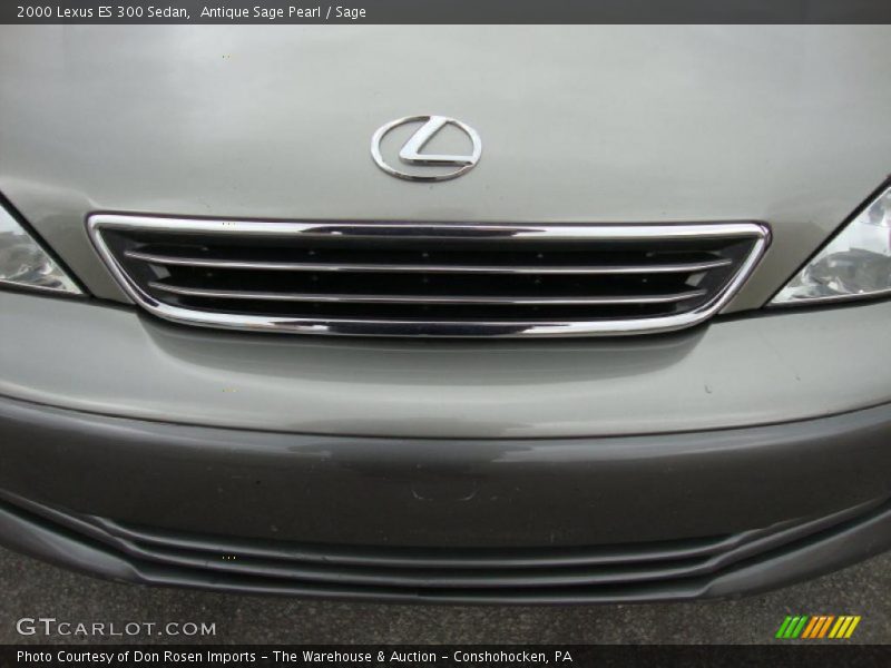 Antique Sage Pearl / Sage 2000 Lexus ES 300 Sedan
