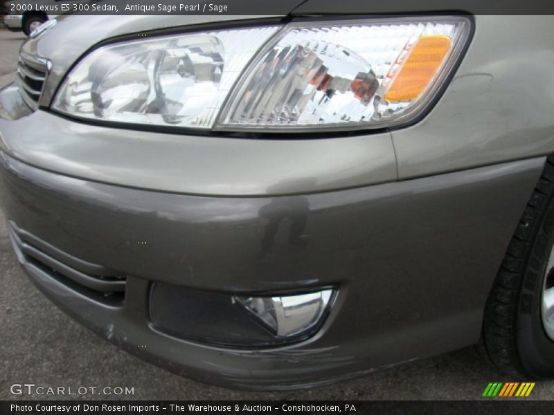 Antique Sage Pearl / Sage 2000 Lexus ES 300 Sedan