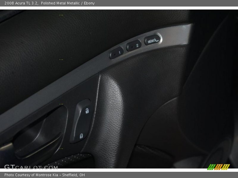 Polished Metal Metallic / Ebony 2008 Acura TL 3.2