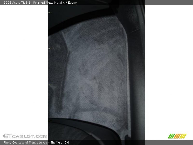 Polished Metal Metallic / Ebony 2008 Acura TL 3.2