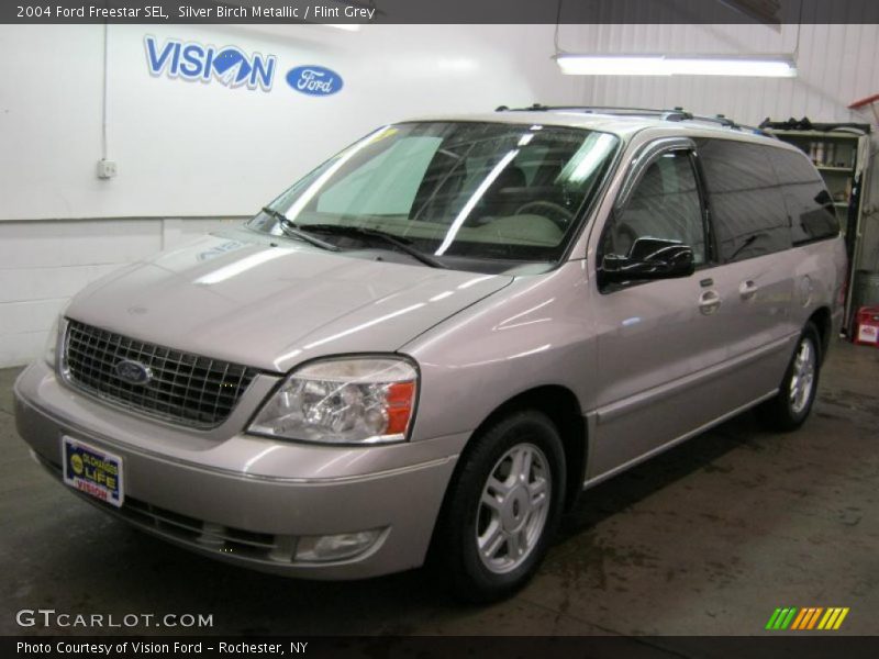 Silver Birch Metallic / Flint Grey 2004 Ford Freestar SEL