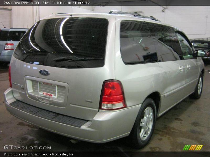 Silver Birch Metallic / Flint Grey 2004 Ford Freestar SEL