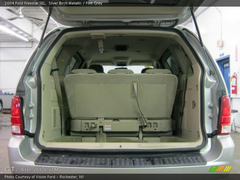 Silver Birch Metallic / Flint Grey 2004 Ford Freestar SEL