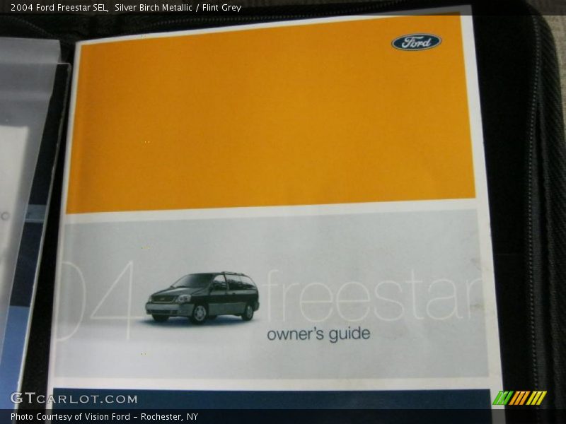 Silver Birch Metallic / Flint Grey 2004 Ford Freestar SEL