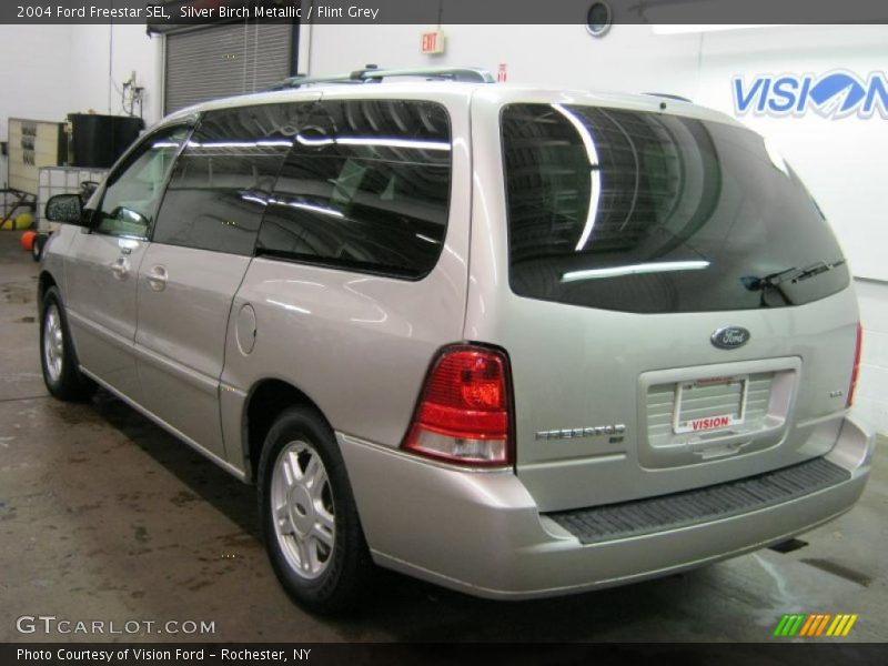 Silver Birch Metallic / Flint Grey 2004 Ford Freestar SEL