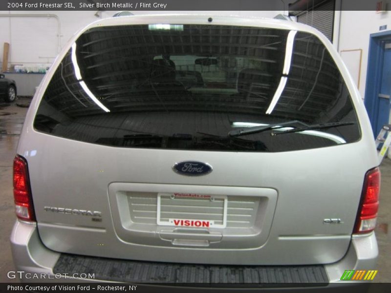 Silver Birch Metallic / Flint Grey 2004 Ford Freestar SEL