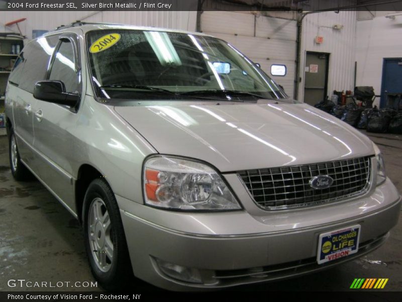 Silver Birch Metallic / Flint Grey 2004 Ford Freestar SEL