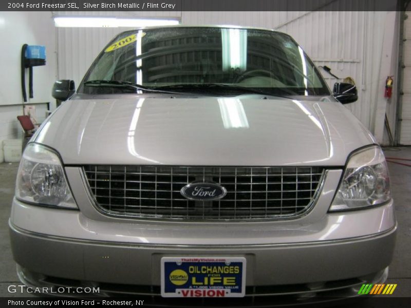Silver Birch Metallic / Flint Grey 2004 Ford Freestar SEL