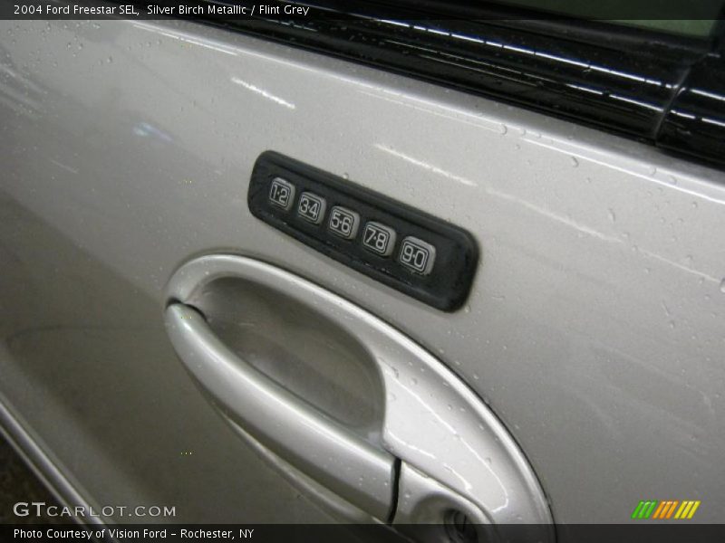 Silver Birch Metallic / Flint Grey 2004 Ford Freestar SEL