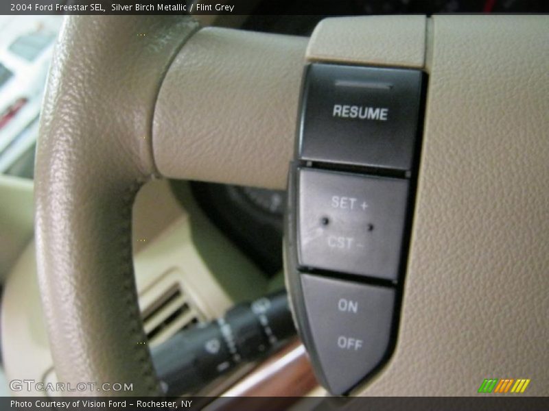 Silver Birch Metallic / Flint Grey 2004 Ford Freestar SEL
