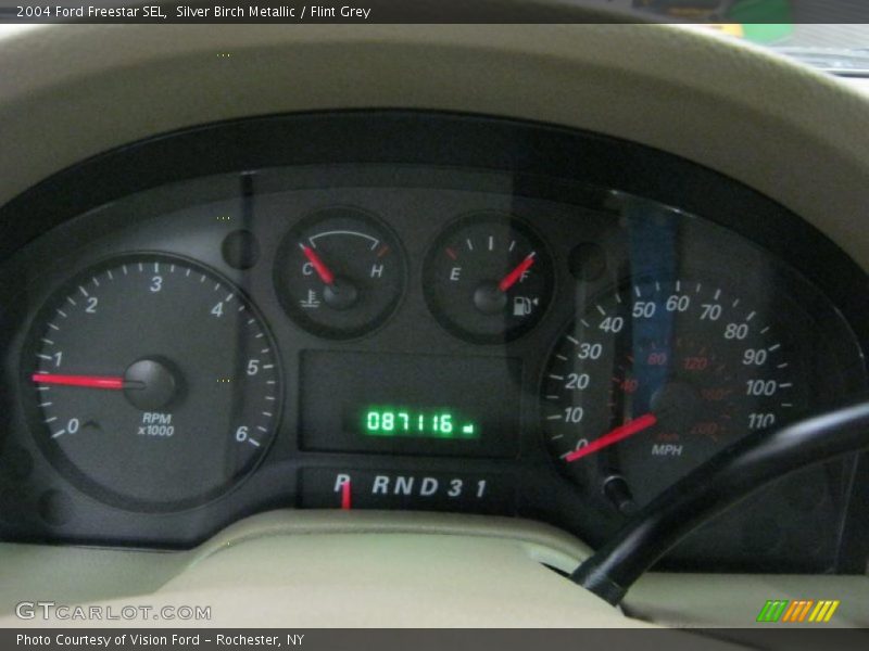 Silver Birch Metallic / Flint Grey 2004 Ford Freestar SEL
