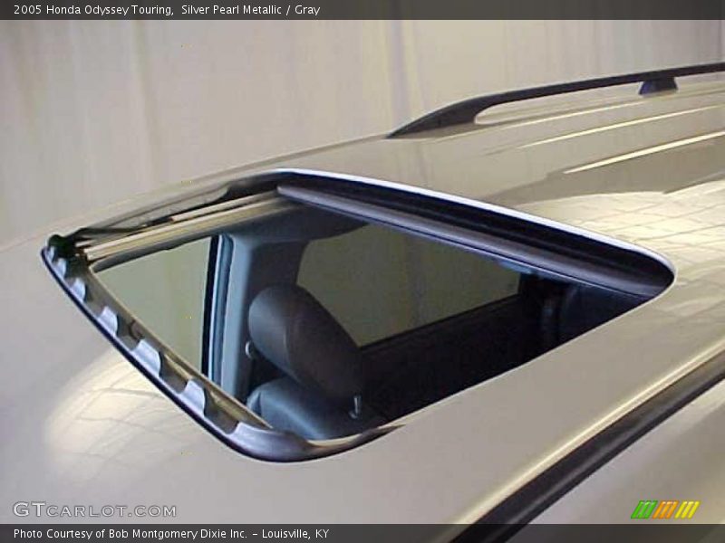 Silver Pearl Metallic / Gray 2005 Honda Odyssey Touring