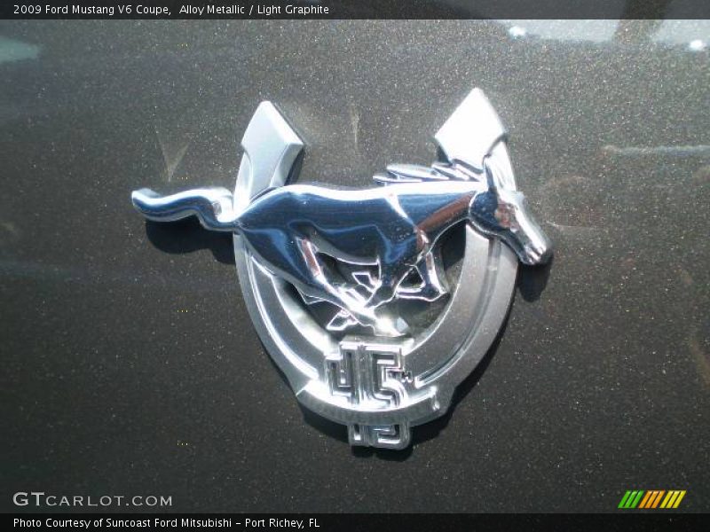 Alloy Metallic / Light Graphite 2009 Ford Mustang V6 Coupe
