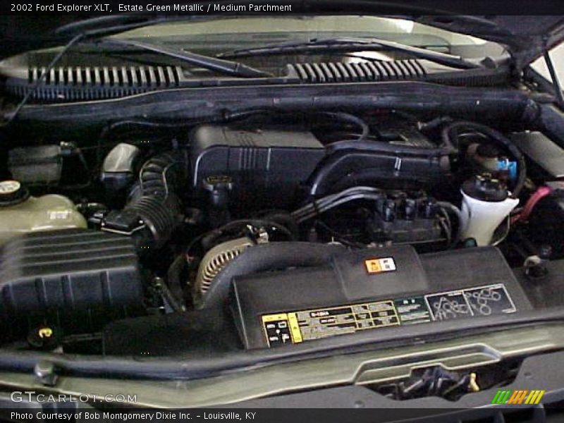 Estate Green Metallic / Medium Parchment 2002 Ford Explorer XLT