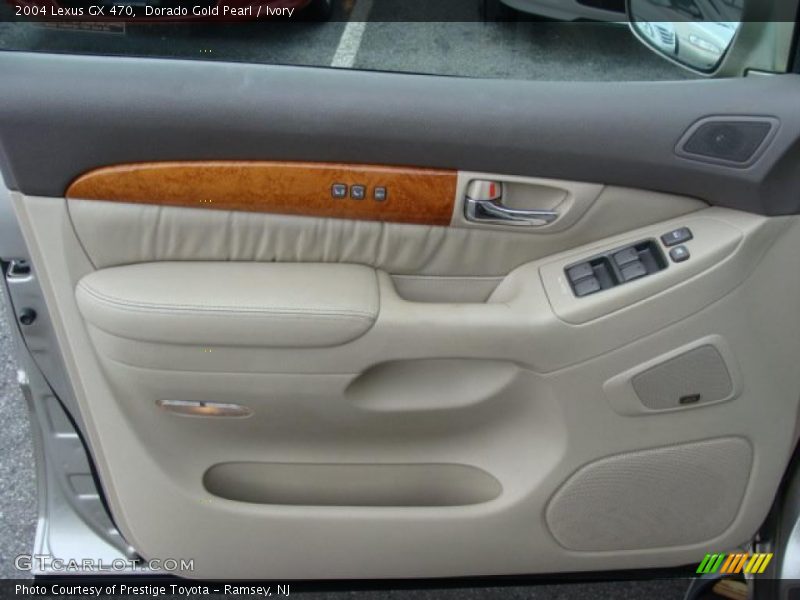 Door Panel of 2004 GX 470