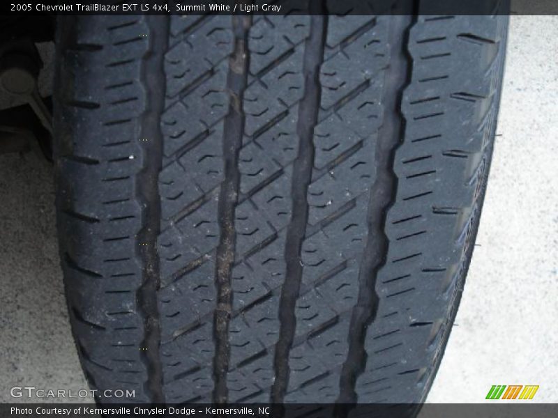 Summit White / Light Gray 2005 Chevrolet TrailBlazer EXT LS 4x4