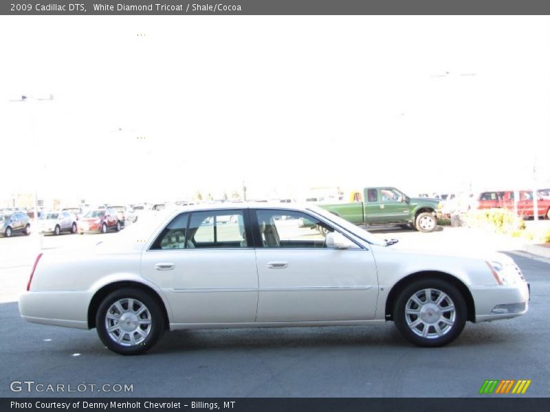 White Diamond Tricoat / Shale/Cocoa 2009 Cadillac DTS