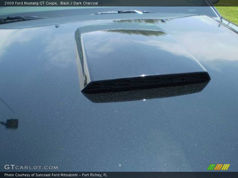Black / Dark Charcoal 2009 Ford Mustang GT Coupe