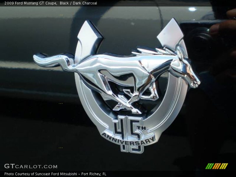 Black / Dark Charcoal 2009 Ford Mustang GT Coupe