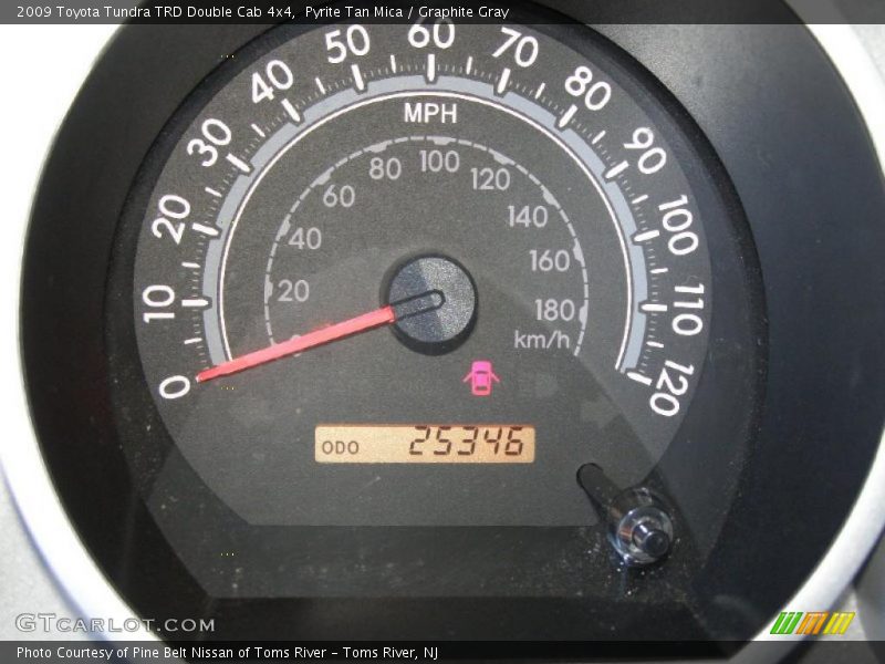 Pyrite Tan Mica / Graphite Gray 2009 Toyota Tundra TRD Double Cab 4x4