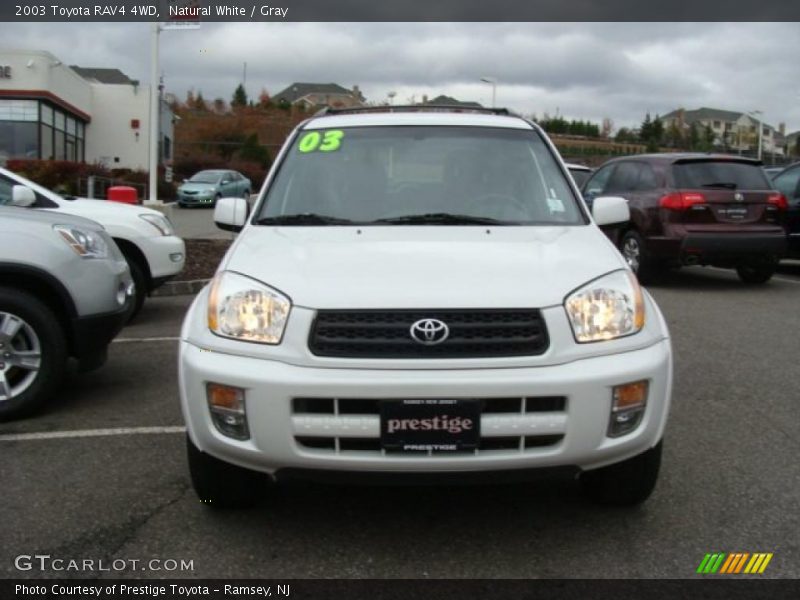Natural White / Gray 2003 Toyota RAV4 4WD