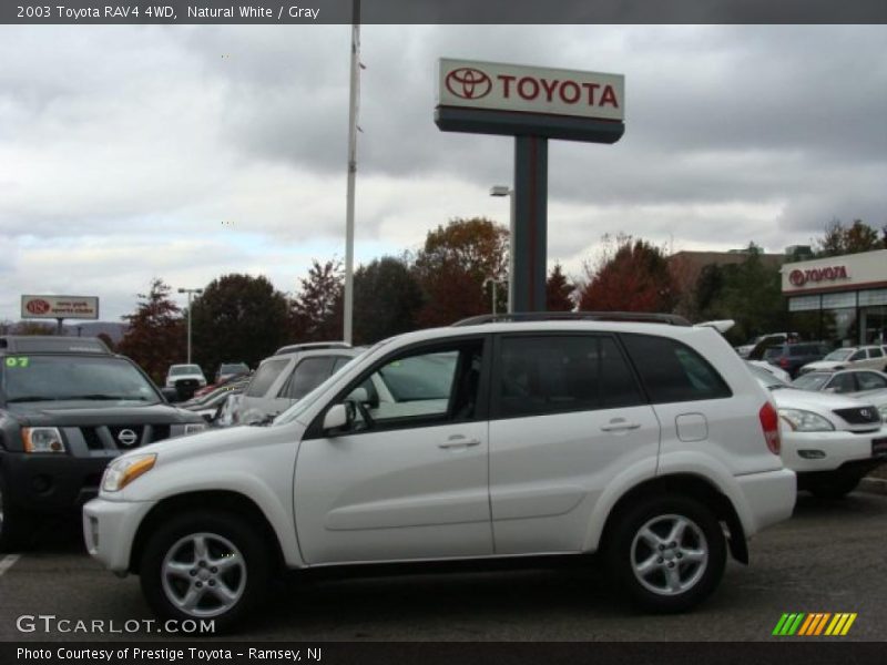 Natural White / Gray 2003 Toyota RAV4 4WD