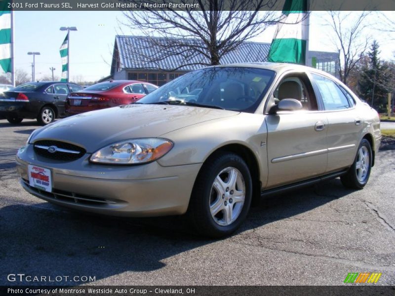 Harvest Gold Metallic / Medium Parchment 2001 Ford Taurus SEL