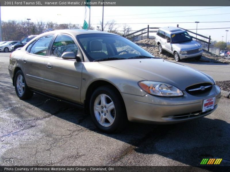 Harvest Gold Metallic / Medium Parchment 2001 Ford Taurus SEL