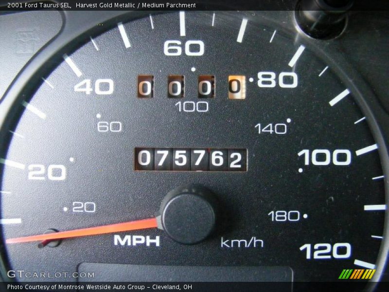 Harvest Gold Metallic / Medium Parchment 2001 Ford Taurus SEL