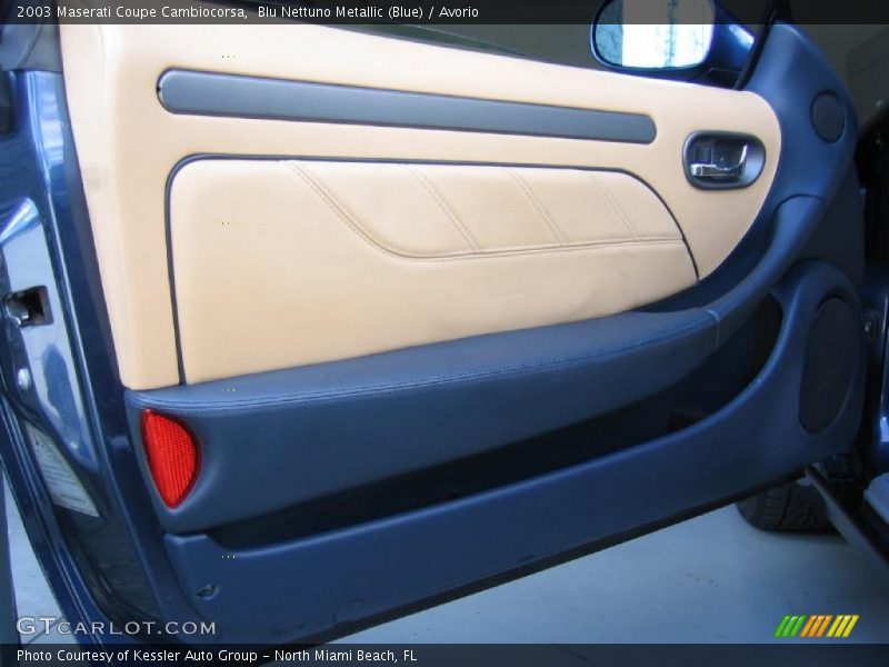 Door Panel of 2003 Coupe Cambiocorsa