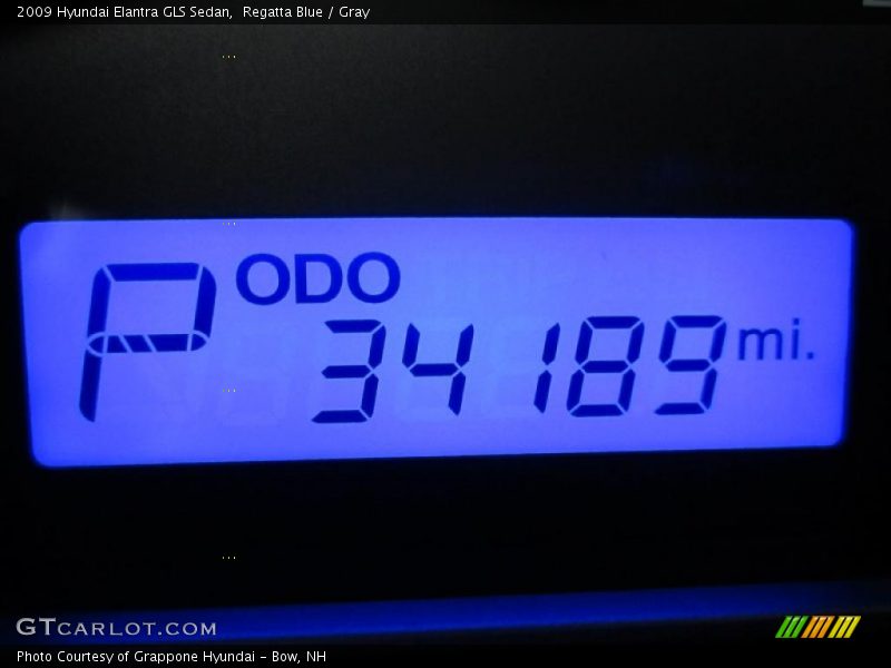 Regatta Blue / Gray 2009 Hyundai Elantra GLS Sedan
