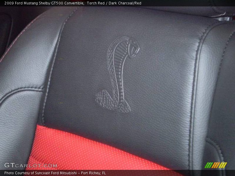  2009 Mustang Shelby GT500 Convertible Logo