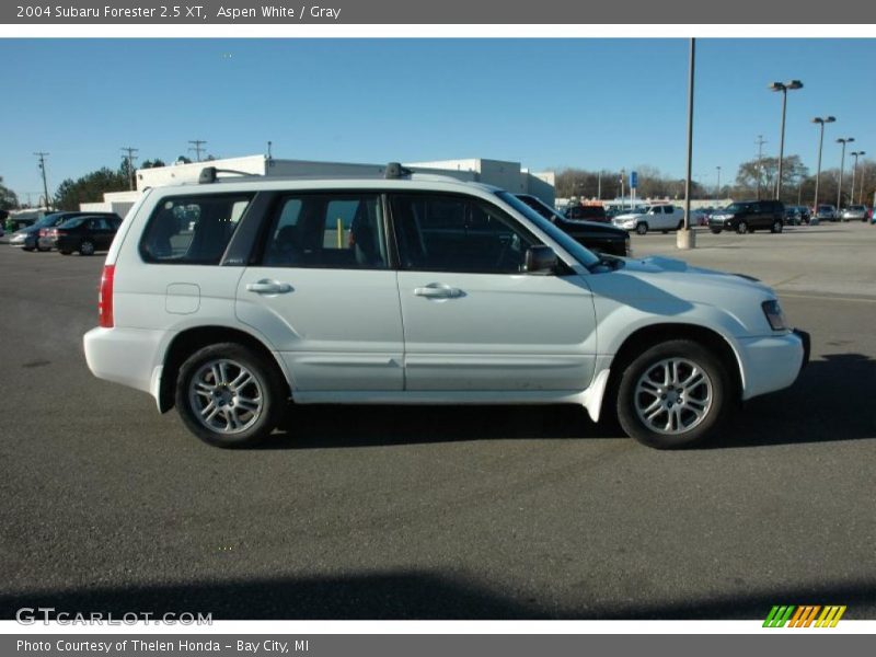 Aspen White / Gray 2004 Subaru Forester 2.5 XT