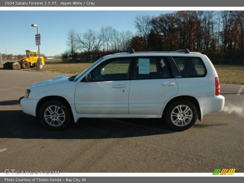 Aspen White / Gray 2004 Subaru Forester 2.5 XT