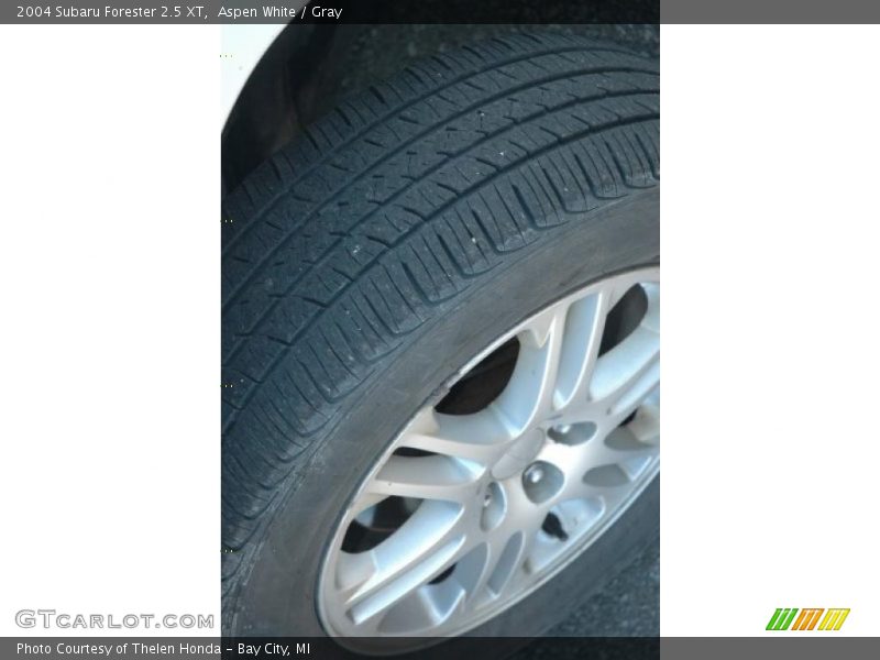 Aspen White / Gray 2004 Subaru Forester 2.5 XT