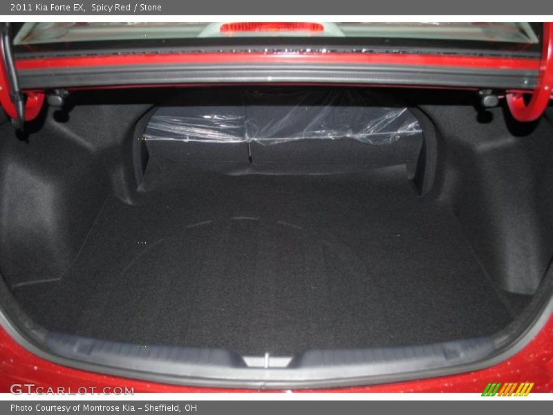 Spicy Red / Stone 2011 Kia Forte EX