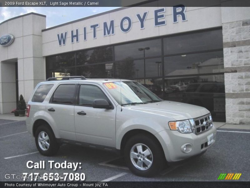 Light Sage Metallic / Camel 2009 Ford Escape XLT