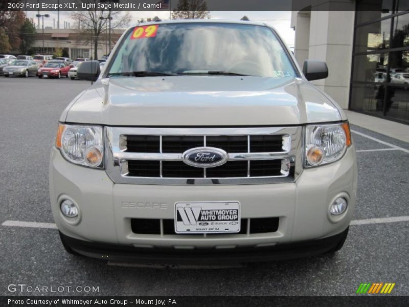 Light Sage Metallic / Camel 2009 Ford Escape XLT