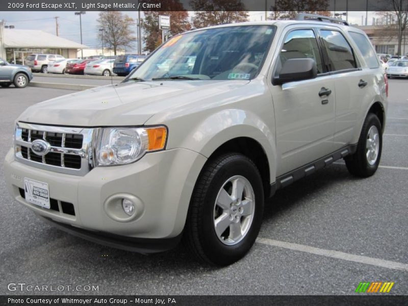 Light Sage Metallic / Camel 2009 Ford Escape XLT