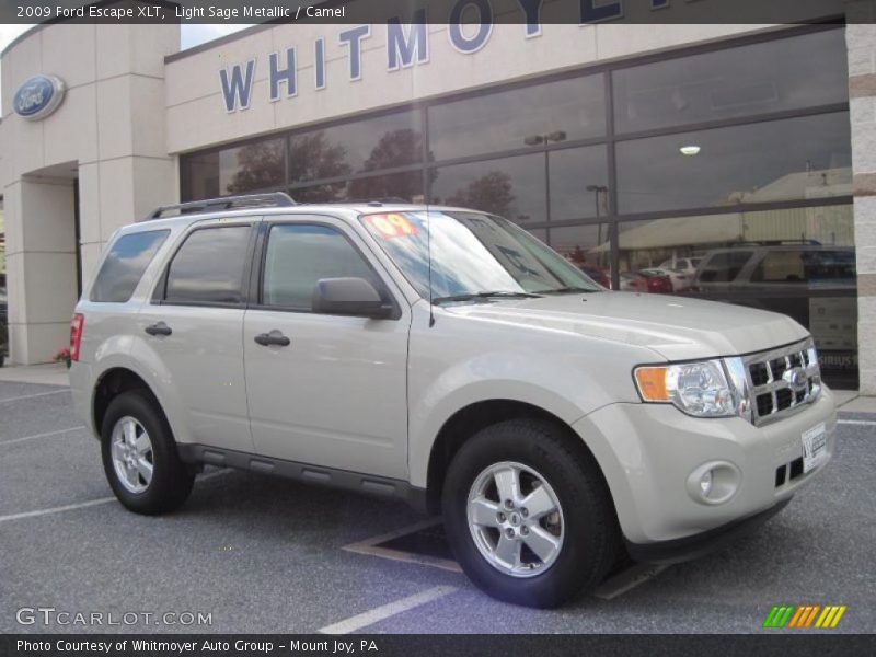 Light Sage Metallic / Camel 2009 Ford Escape XLT