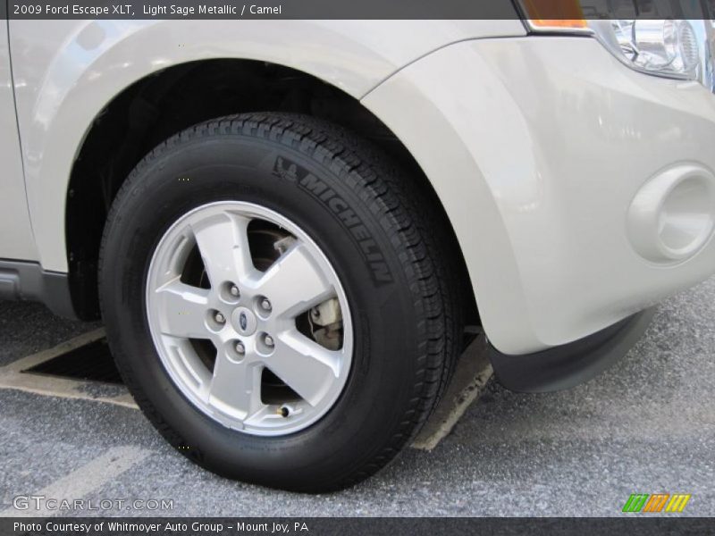 Light Sage Metallic / Camel 2009 Ford Escape XLT