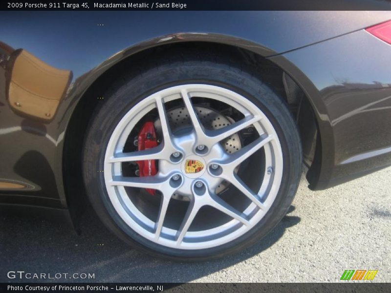 Macadamia Metallic / Sand Beige 2009 Porsche 911 Targa 4S