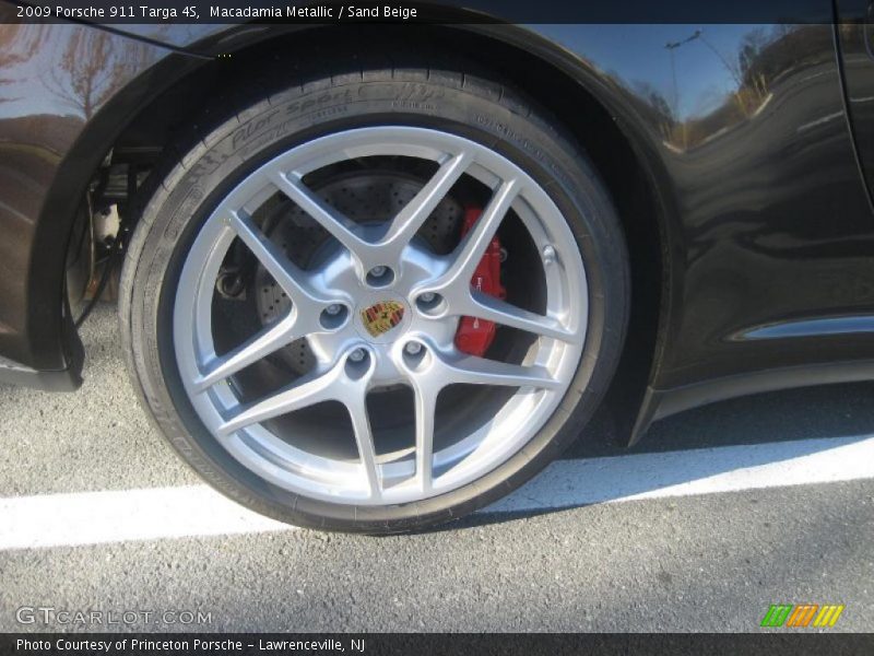  2009 911 Targa 4S Wheel